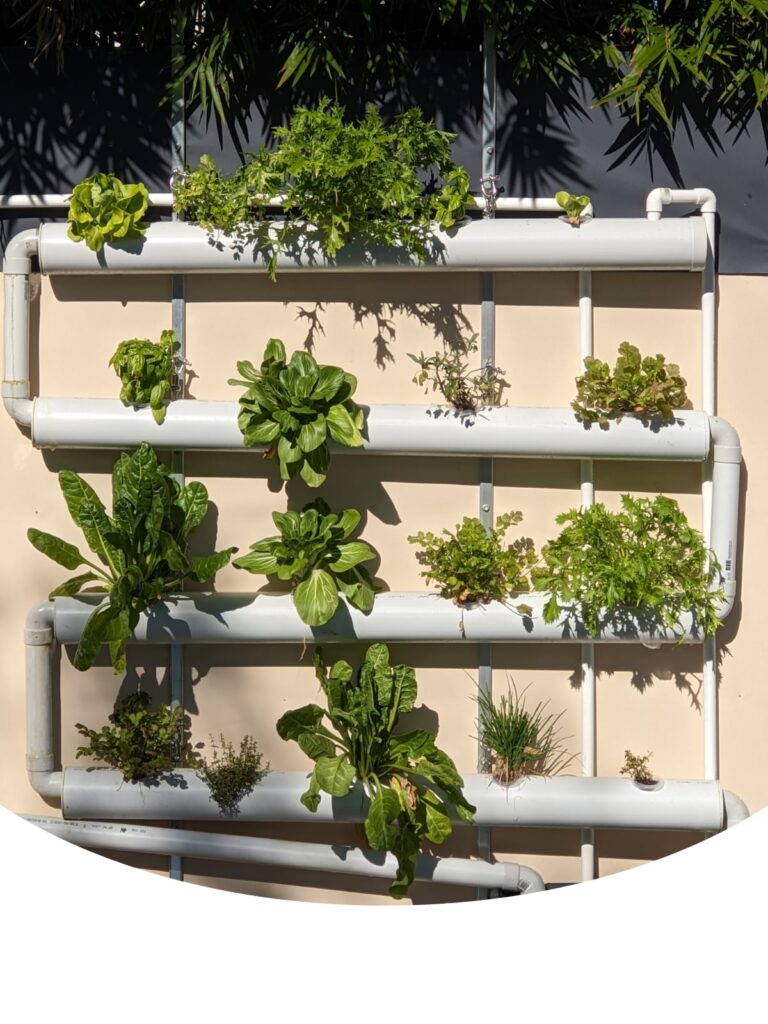 vertical growing wall